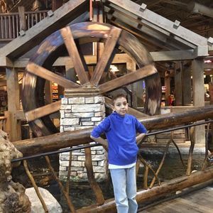 Meet your Posher, Hareth